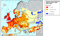 Modelled change of the flowering date for winter planted wheat, 1975–2007