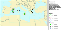 Presence of Alexandrium species (bullets) and areas affected by blooms (circles) during first sampling period (March - October 2002) in the Mediterranean Sea.