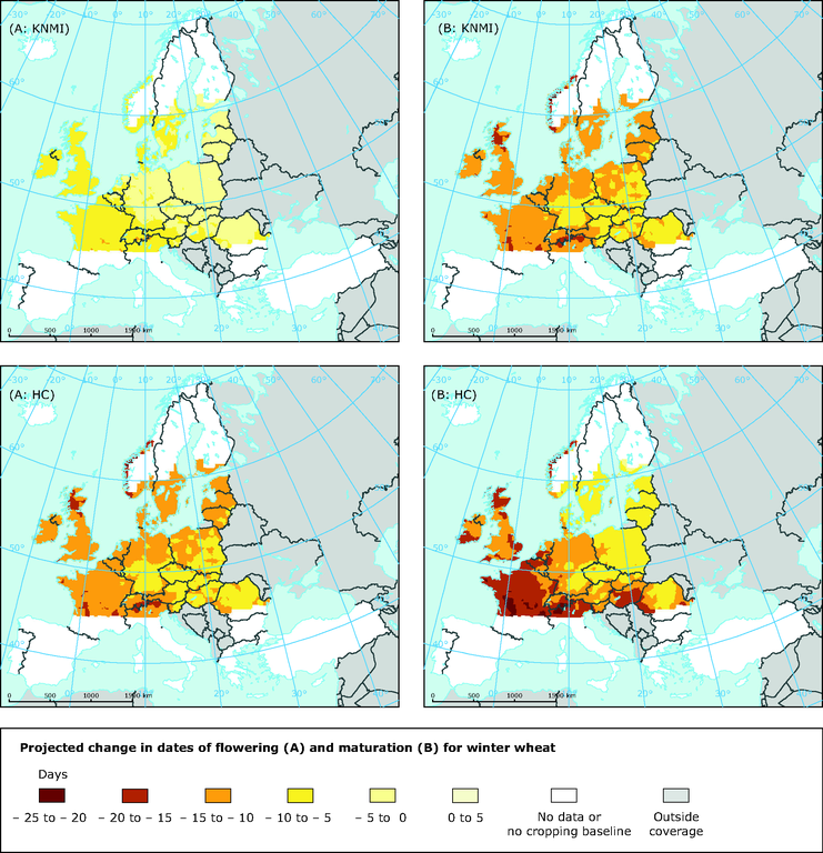 https://www.eea.europa.eu/data-and-maps/figures/projected-change-in-dates-of/agri04_change_dates_flowering_and_mat_winter_wheat.eps/image_large