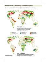 Projected impacts of climate change on terrestrial ecosystems
