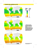 Projected ocean acidification by 2100