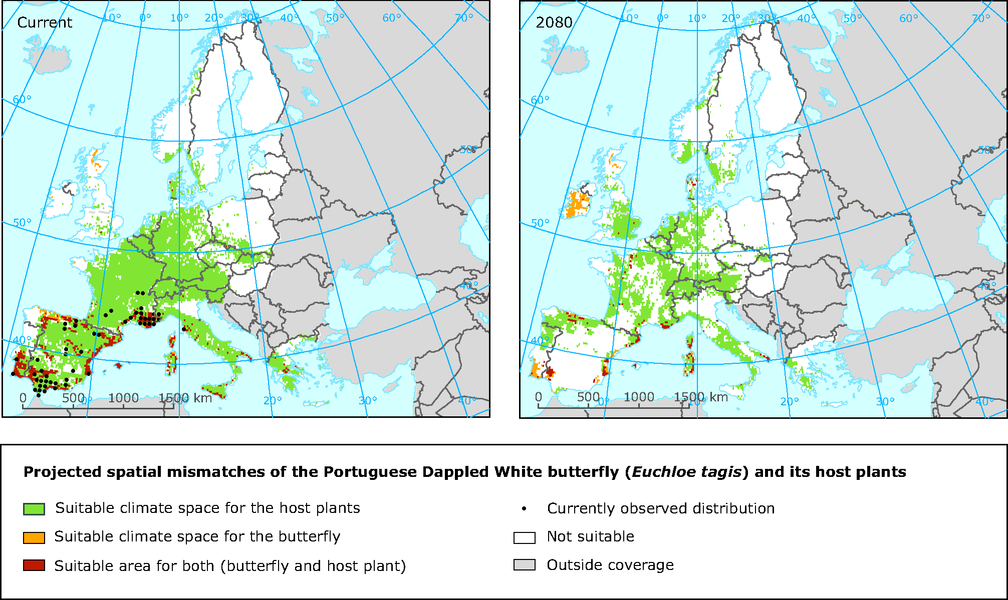 Projected spatial mismatches of the Portuguese Dappled White butterfly and its host plants