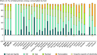 Share of total primary energy consumption by fuel, by country in 2005