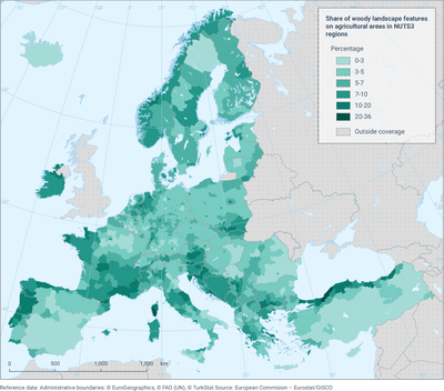 Share of woody landscape features on agricultural areas in NUTS3 regions