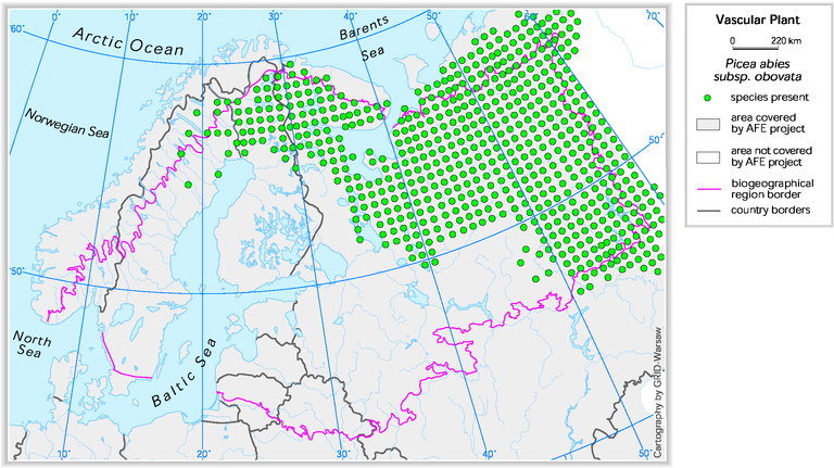 https://www.eea.europa.eu/data-and-maps/figures/siberian-spruce-picea-abies-ssp-obovata/bor6_plants.eps/image_large