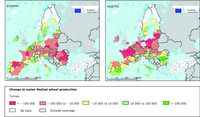 Simulated change in water-limited wheat production 