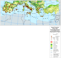 Special Protection Areas under the EU Birds Directive in the Mediterranean Biogeographical Region