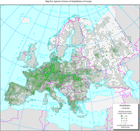 Species richness of amphibians in Europe