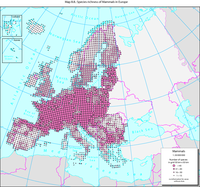 Species richness of mammals in Europe