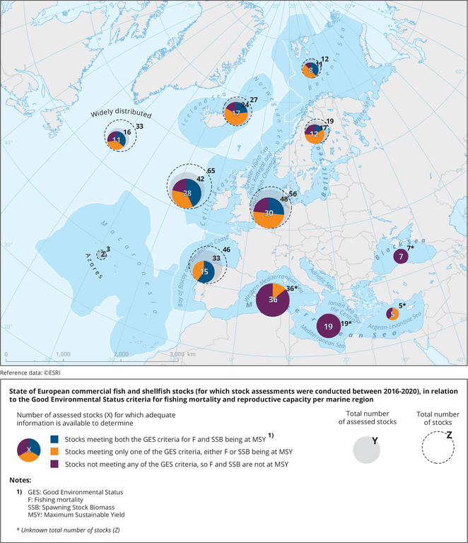 https://www.eea.europa.eu/data-and-maps/figures/status-of-fish-stocks-in-8/fig1-142801-mar007-v11.eps/image_large