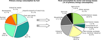 Structure of the efficiency of transformation and distribution of energy: from primary energy consumption to final energy consumption, EU-27, 2005