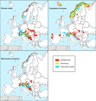 The potential response by 2100 of three currently common mountain species to climate change