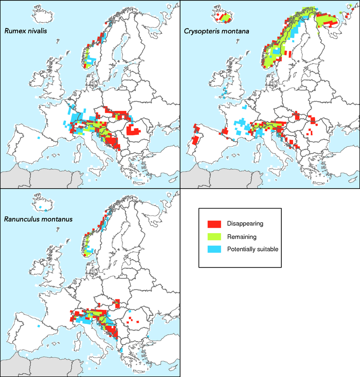 https://www.eea.europa.eu/data-and-maps/figures/the-potential-response-by-2100-of-three-currently-common-mountain-species-to-climate-change/map-3-9.eps/image_large