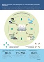 Wie sind die Umwelt, unser Wohlergehen und unsere Gesundheit miteinander verbunden?