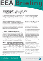 EEA Briefing 2/2004 - Energiesubventionen und erneuerbare Energien