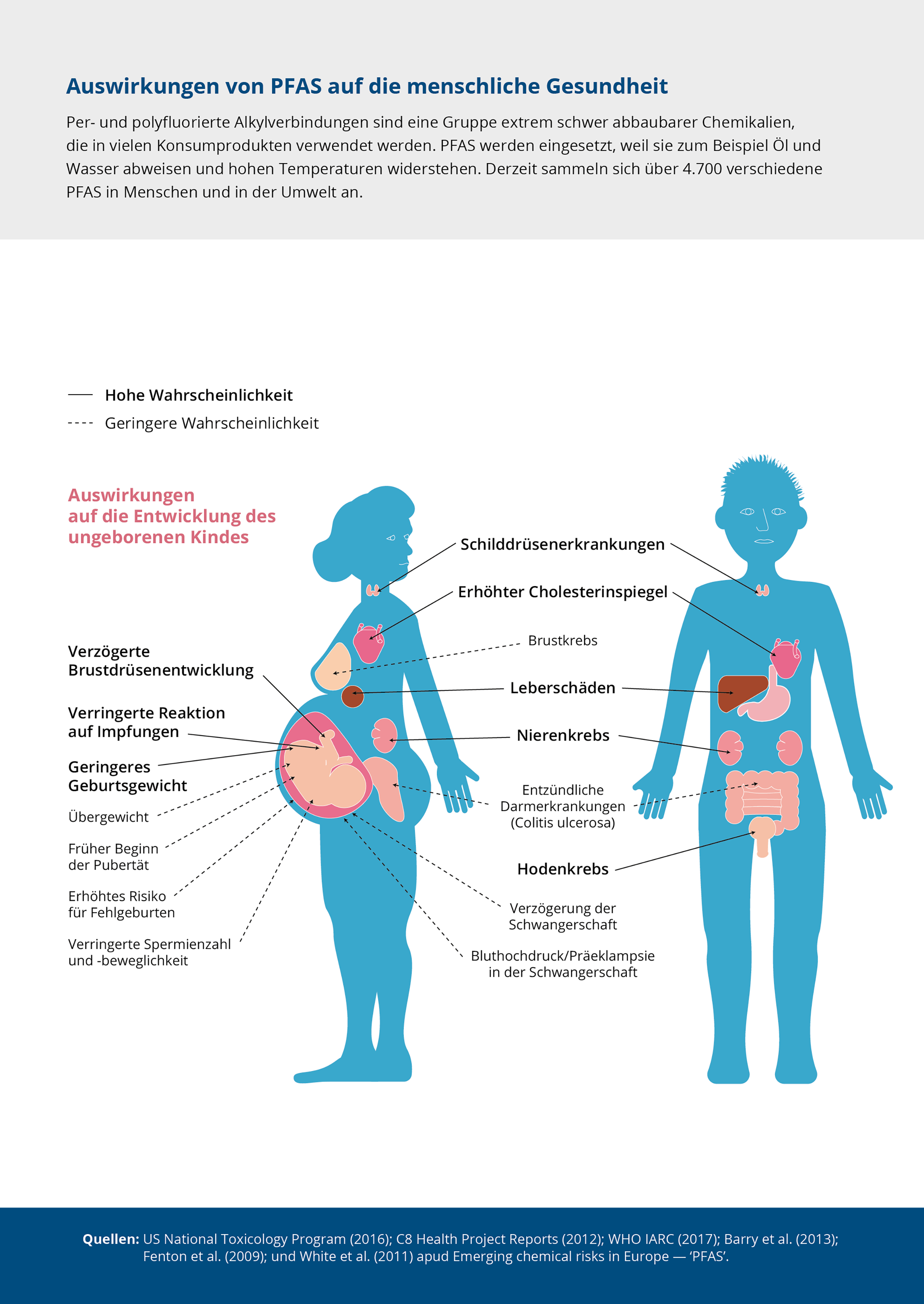 Auswirkungen von PFAS auf die menschliche Gesundheit