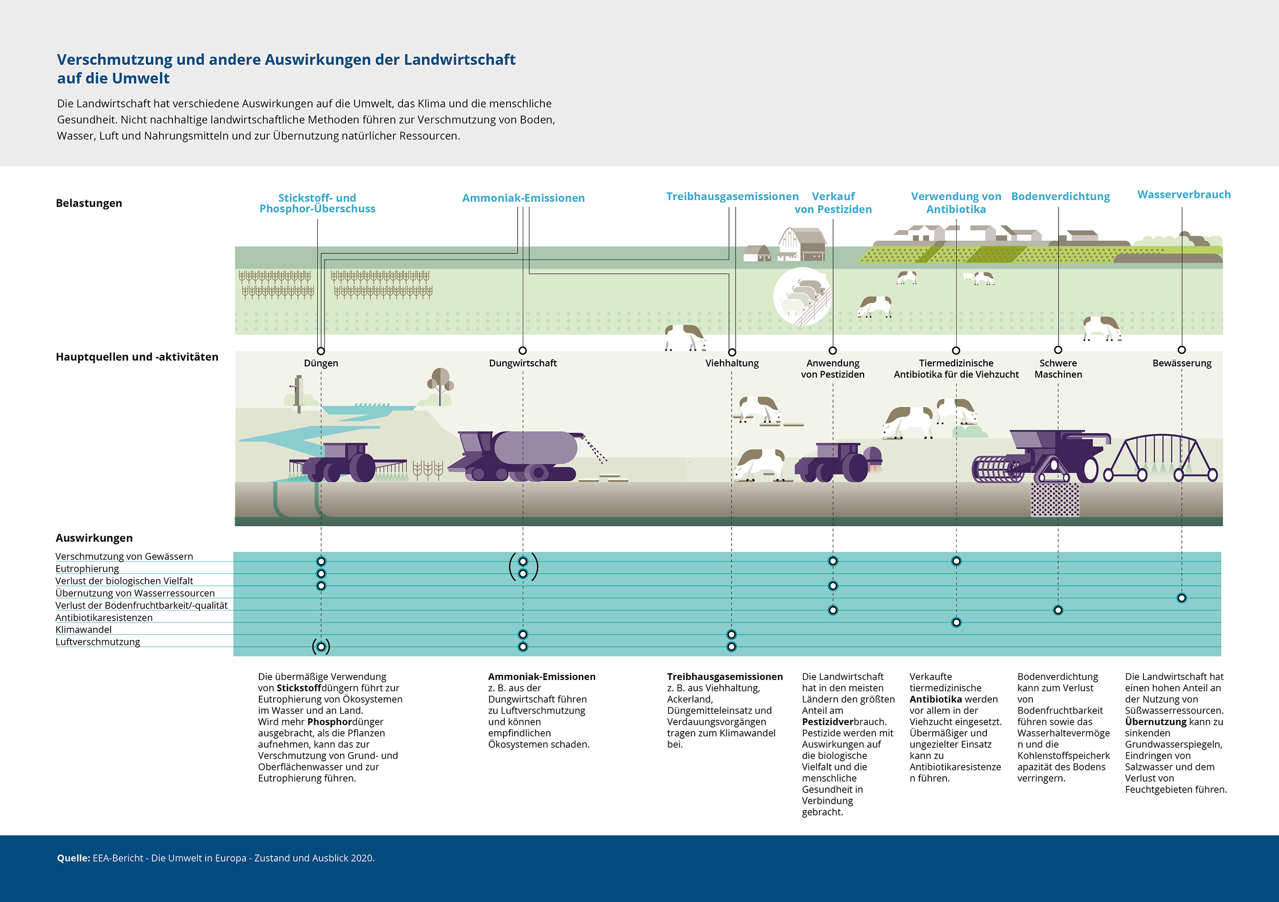 Verschmutzung und andere Auswirkungen der Landwirtschaft auf die Umwelt