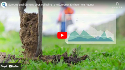 Working at the EEA - corporate video