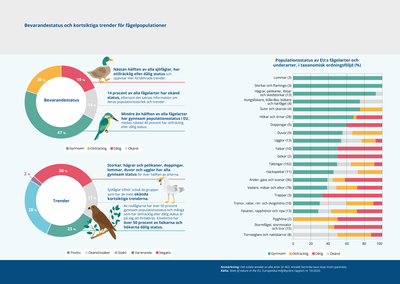 Bevarandestatus och kortsiktiga trender för fågelpopulationer