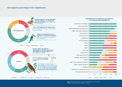 Bevaringsstatus og kortsiktige trender i fuglebestander