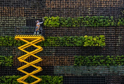 Opportunités d'innovation en bioéconomie