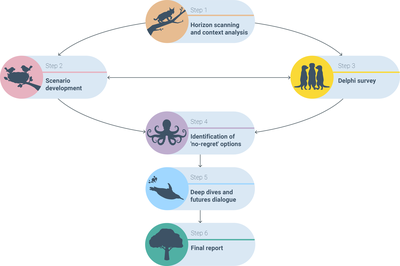 The foresight process for this report