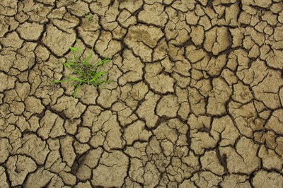 Lograr que la agricultura, la energía y el transporte sean resilientes al clima: ¿cuánto dinero se necesita y qué se obtendrá?
