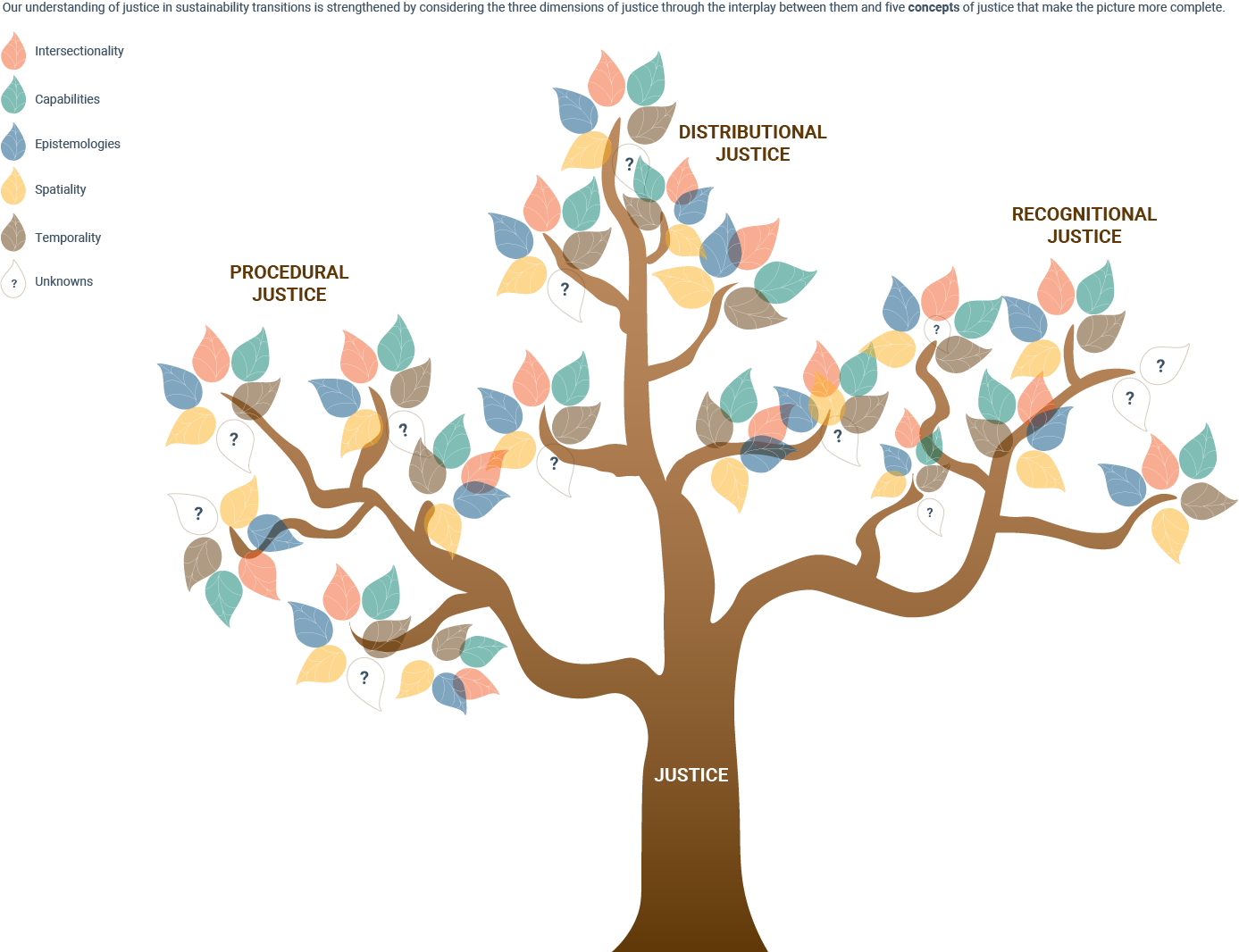 Delivering justice in sustainability transitions | Publications | European  Environment Agency (EEA)