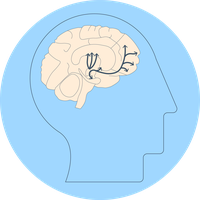 Brain_reward.png
