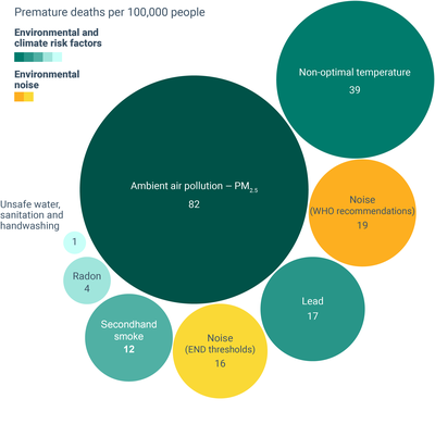 Annual premature deaths per 100,000 people attributable to selected environmental risk factors, EEA-32 (excluding Türkiye)
