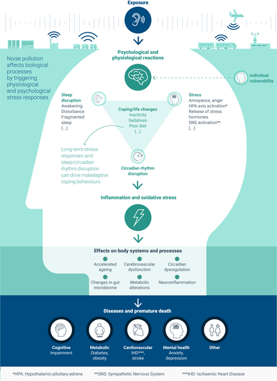Biological indirect pathways through which environmental noise impacts health