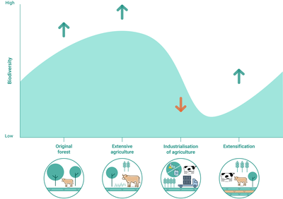 Relationship between land use practices over time and number of species
