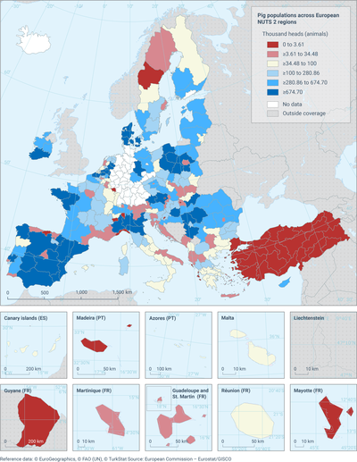 Regional concentration of pig populations in Europe, 2024