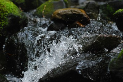Économies d’eau pour une Europe résiliente à l’eau