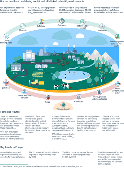 Ecosystem services that support health, against risks to health from a polluted environment