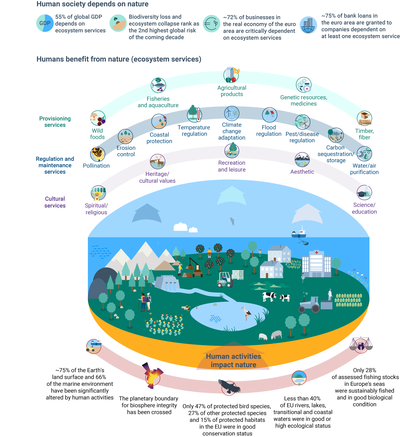 Ecosystems services – benefits and costs