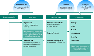Illustration of transmission pathways for physical climate and nature-related risk for public finances