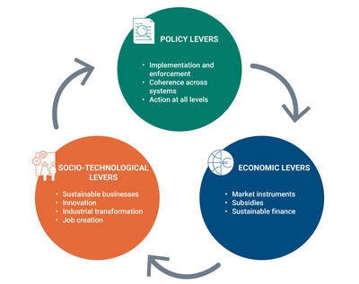 Policy, social, technological and economic levers for transformative change