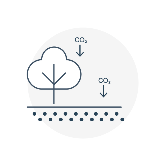 2.4 carbon dioxide.png