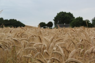 Ecological risk of pesticides in EU soils (Signal)