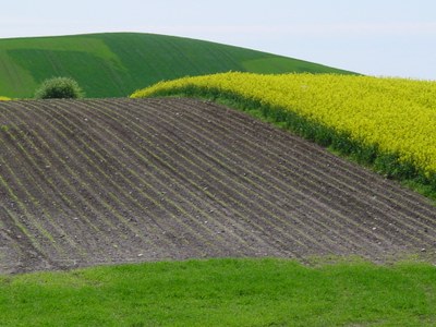 Ecological risk of pesticides in EU soils (Signal)