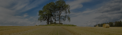 Case study: ‘Tree-deserts’ in Europe and their future carbon-capture potential