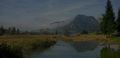 Case study: Using national data sources to improve knowledge on drained organic soil emissions in Austria