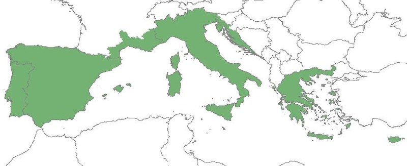 figure 35.jpg