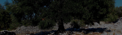 Case study: Building a national system to monitor land-use over time in Croatia: the LIFE CROLIS project