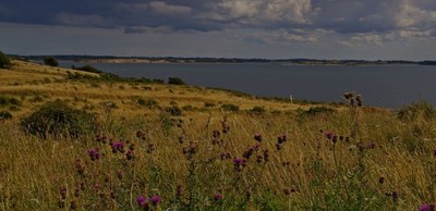 Case study: High resolution maps for efficient incentives and norms in Denmark