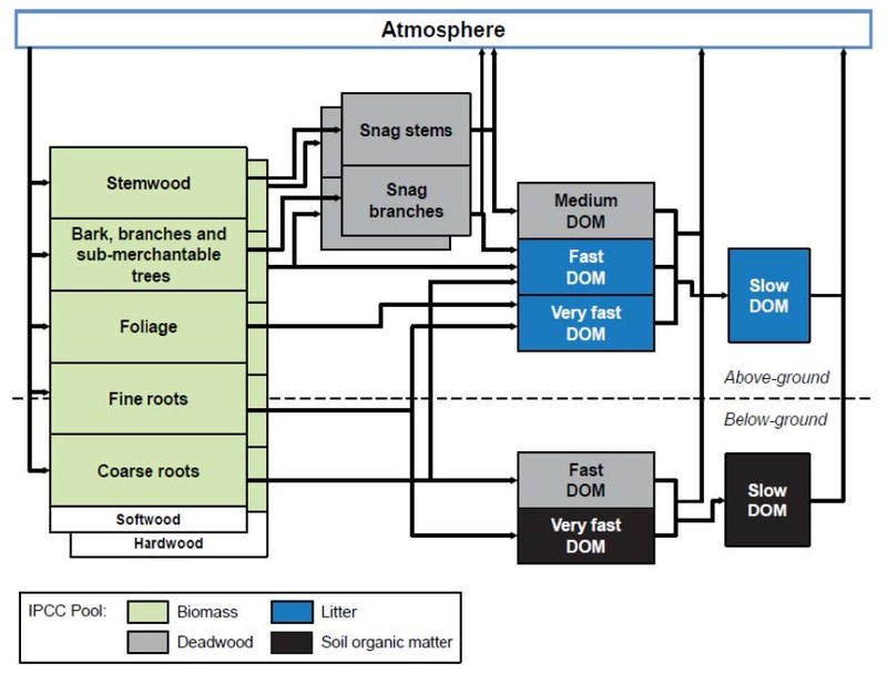 figure 23.jpg