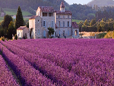 Case study: Farm-level GHG assessments and their link with national monitoring and policies in France