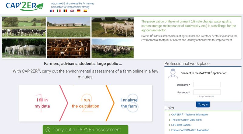 figure 25.jpg