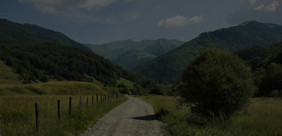 Case study: Assessing time series of forest cover dynamics in Romania